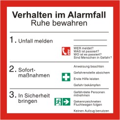 Schild Verhalten im Alarmfall mit Symbolen  nach ISO 7010 
